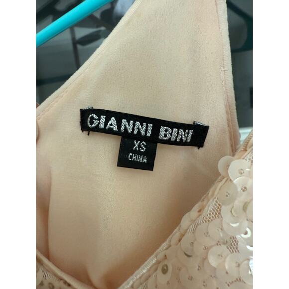 Gianni Bini Maritza Sequin and Fringe Pink Dress XS - Picture 5 of 14